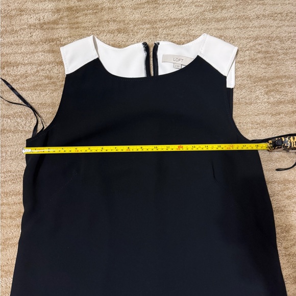 Loft Shift Dress - Picture 5 of 5